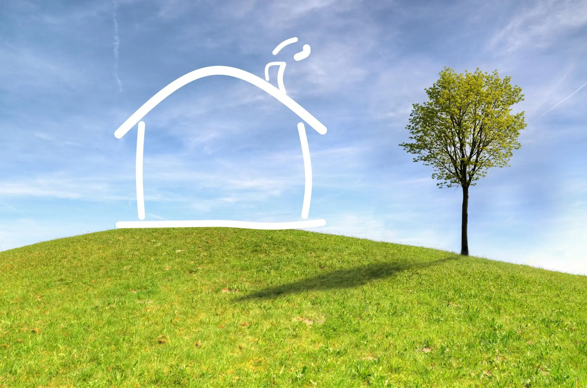Community Association Management Companies: Driving Sustainable Community Development in Spring Branch, TX