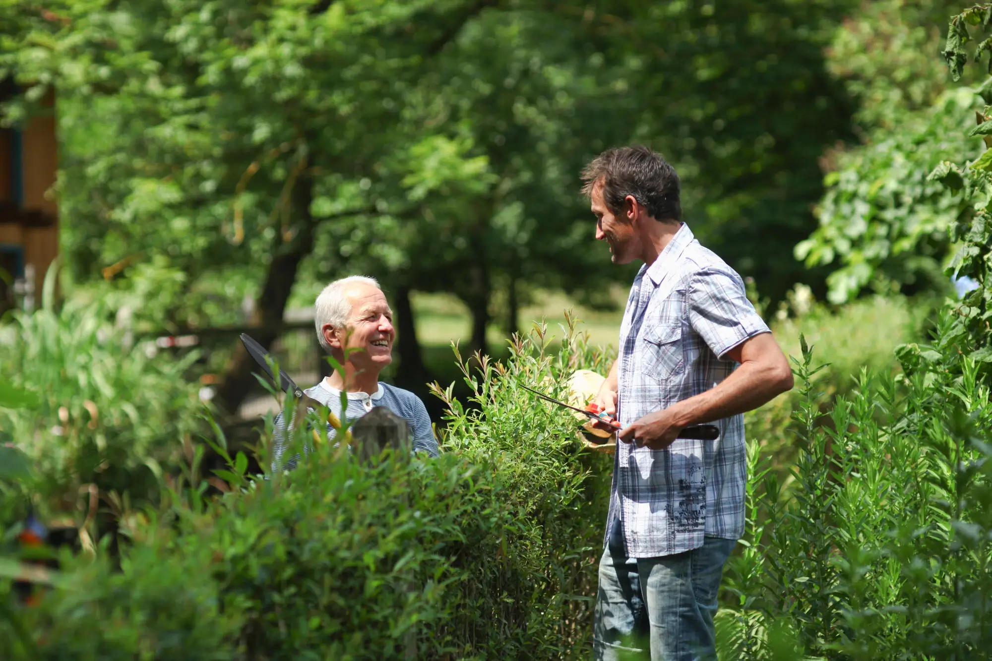 Unveil the Benefits of Community Building Services in Spring Branch, TX